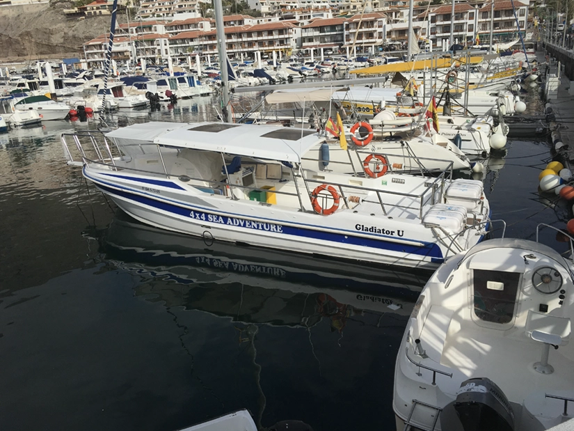 Verificación de la estabilidad de un barco de pasaje en el Puerto de Los Gigantes, Tenerife, fotografiada por un ingeniero de Ingemar Naval en Tenerife<br />
